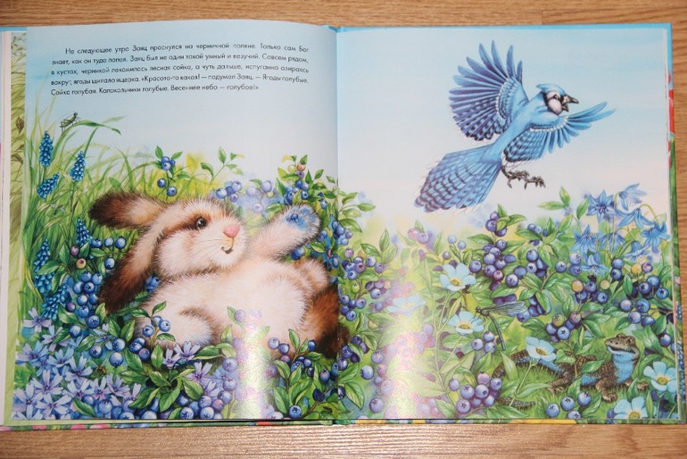 Заяц-чудак и его разноцветные шубки