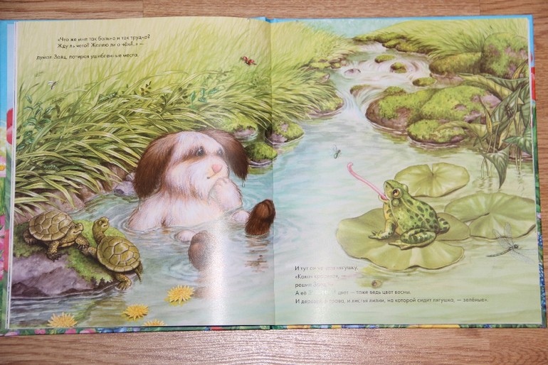 Заяц-чудак и его разноцветные шубки