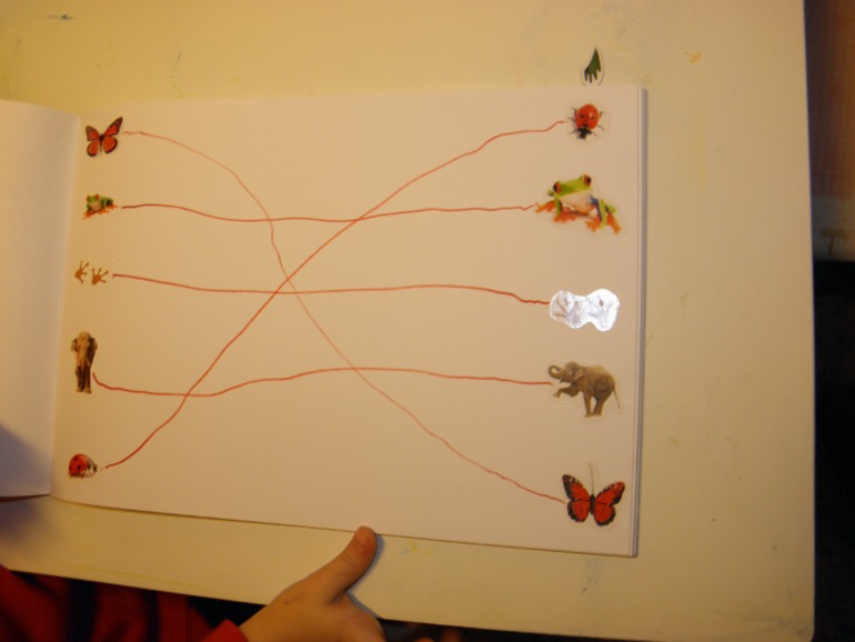 ФМ Африка день 2 и 3 ( саванна и пустыня)