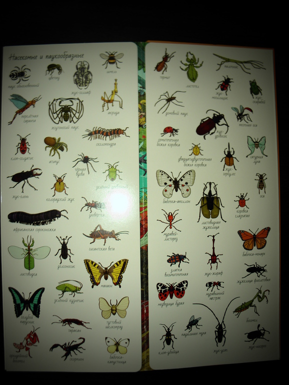 2 любимые книги!