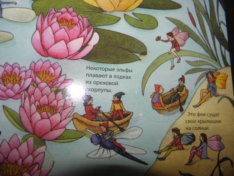 Хотите узнать как живут феи и эльфы!?