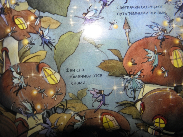 Хотите узнать как живут феи и эльфы!?