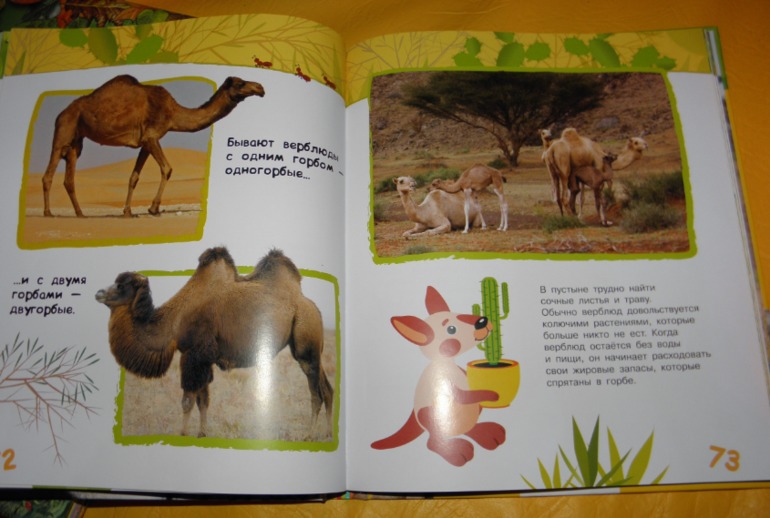 ФМ Африка день 2 и 3 ( саванна и пустыня)