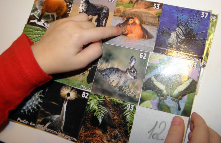 ФМ Африка день 2 и 3 ( саванна и пустыня)