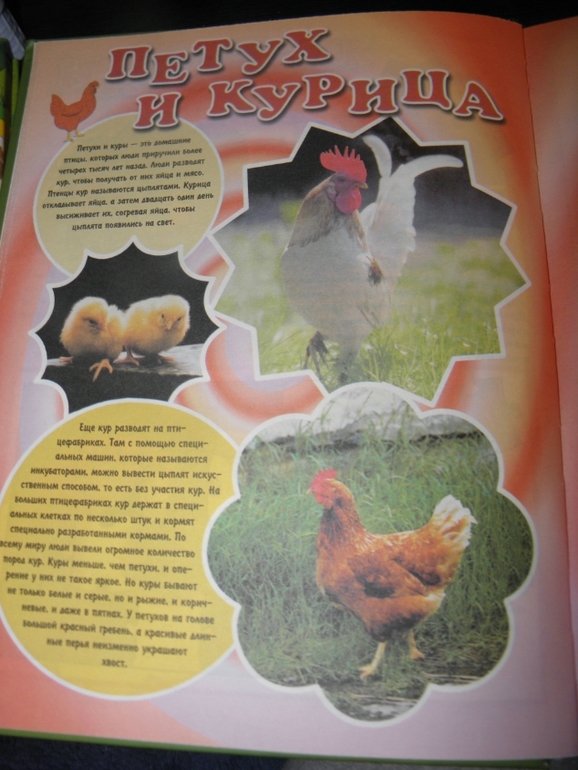 Тематическое занятие Цыпленок!