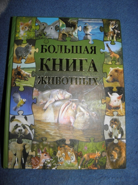 Дневник читателя (февраль)