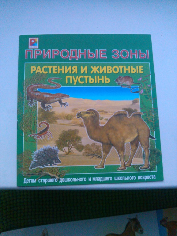 Продолжение африканского путешествия