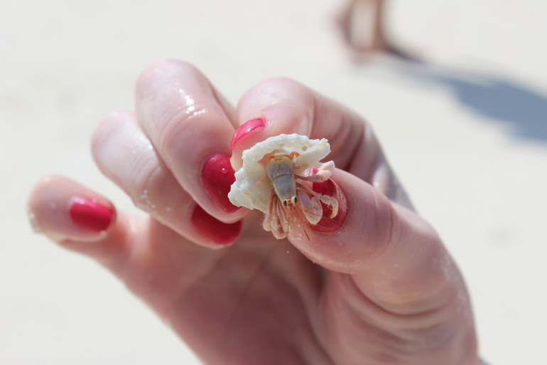 Мальдивы - полный релакс