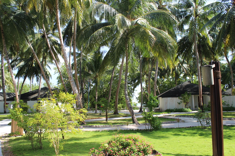 Мальдивы - полный релакс