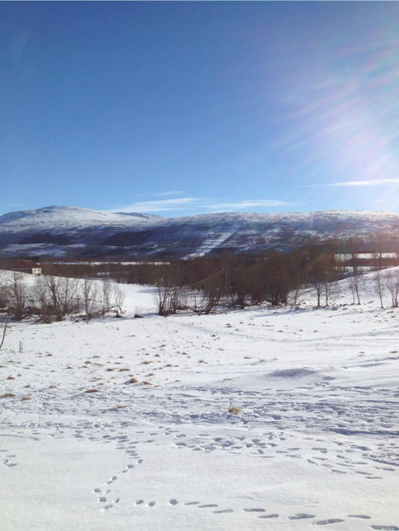 Настя в садике