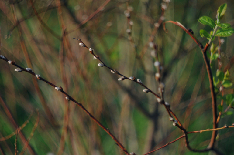 мануальные объективы, первые пробы Helios44-2