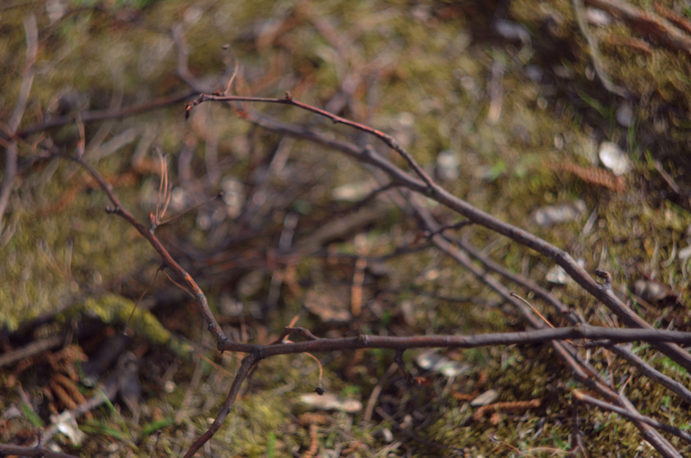 мануальные объективы, первые пробы Helios44-2