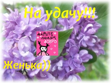 Начну хранить дипломчики