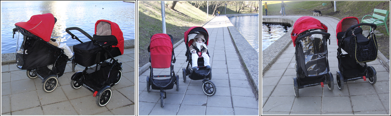 Адепты филоводства (продолжение)