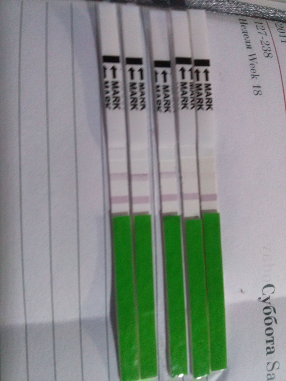 Девочки гляньте