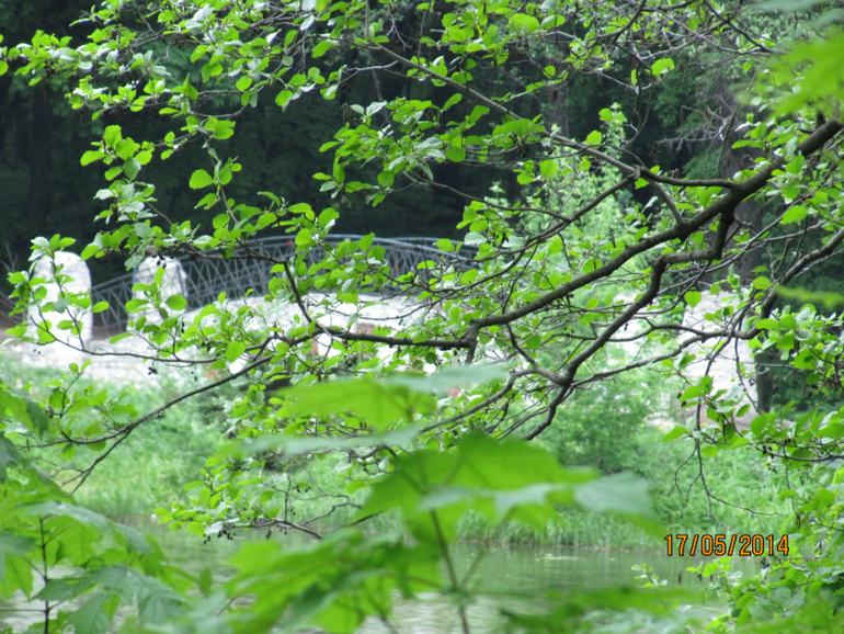 Наши замечательные выходные))