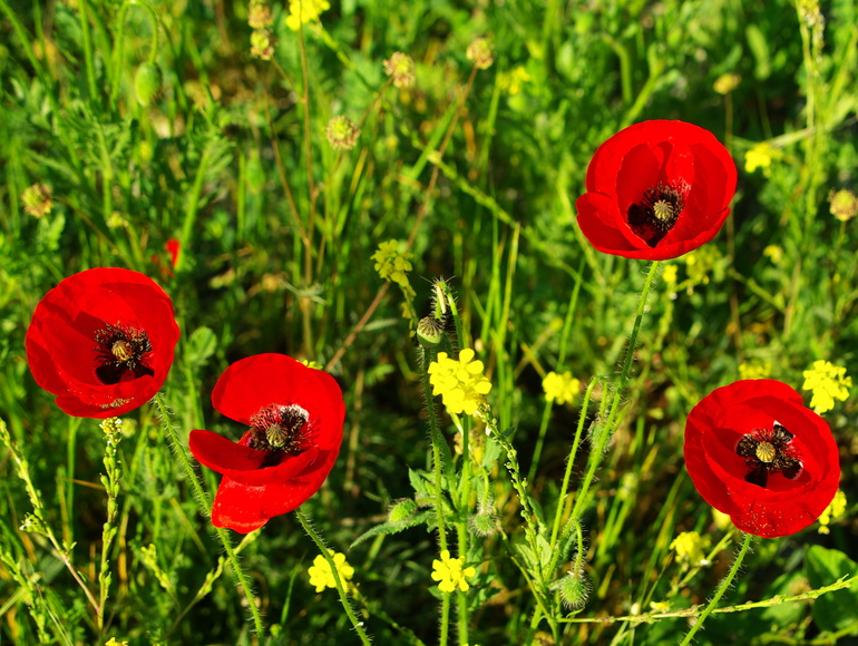 город-герой Новороссийск