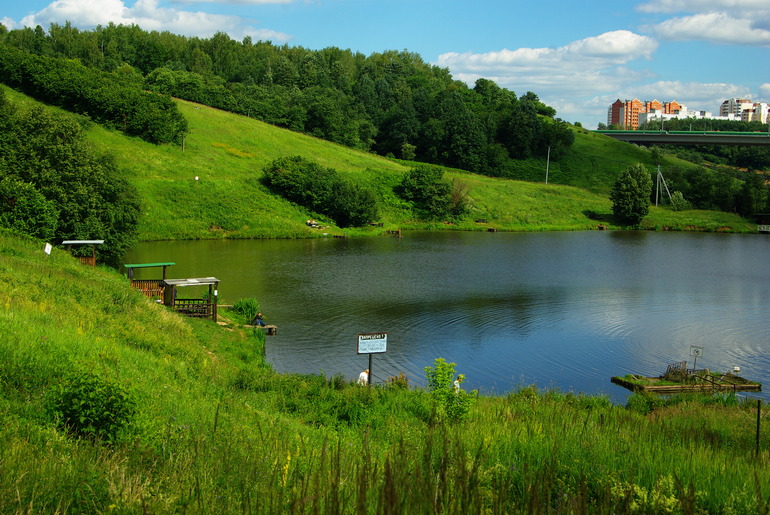 Ромашково 29.06.2014