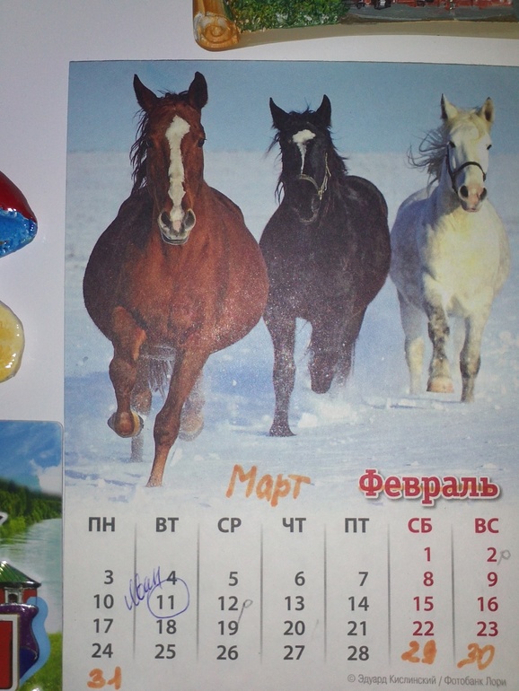 Взлет 72 день 14