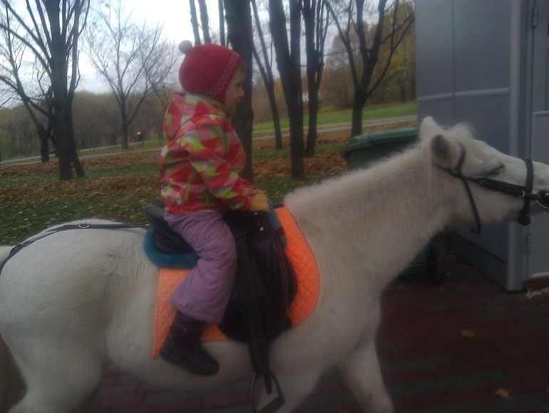 Лиза на коне