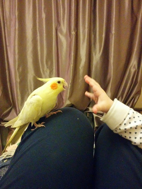 готовь сани с лета