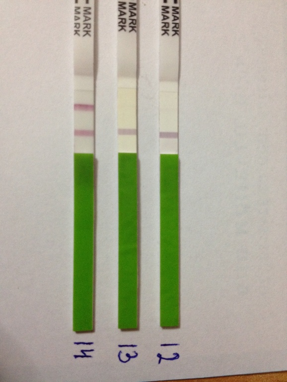 О? но как это возможно?