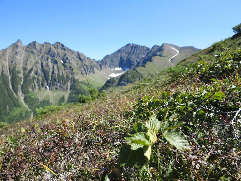 Камчатка - любовь моя. Осторожно, куча фото)