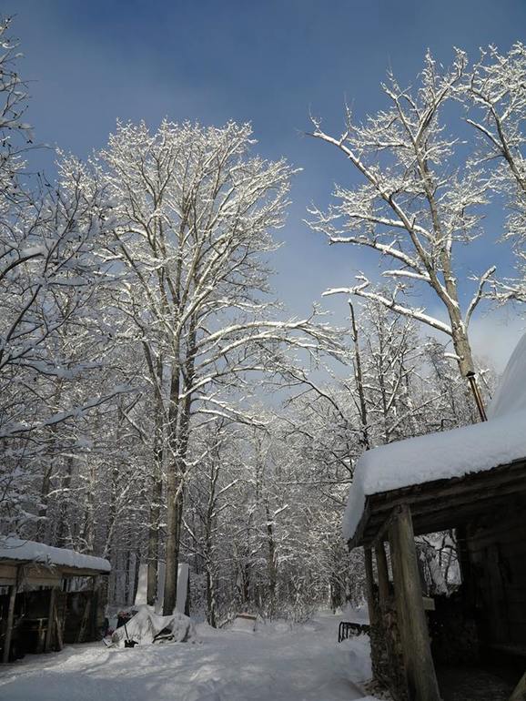 Камчатка - любовь моя. Осторожно, куча фото)