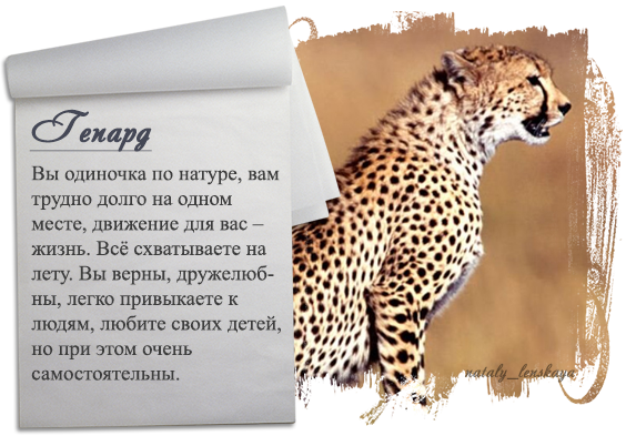 4858a91b9293bb4d997b18e383ec3d4f.png