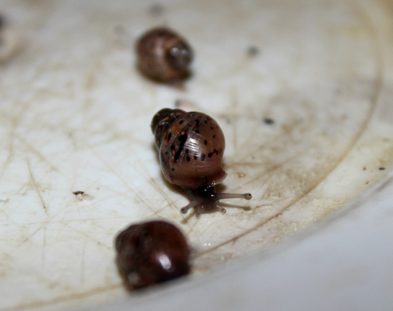 А ребенок то первые деньги заработал )