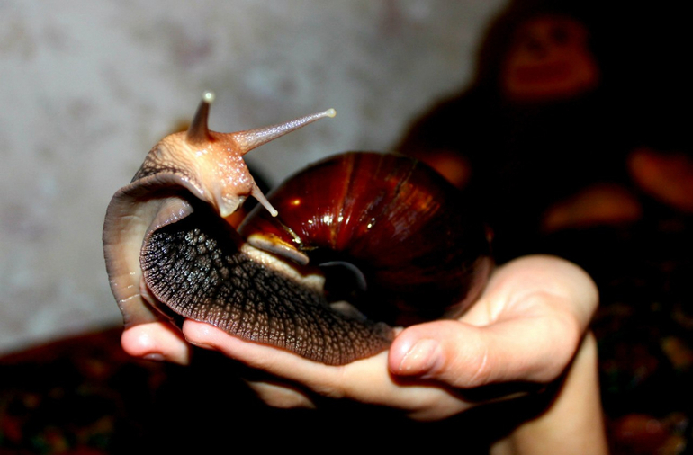 А ребенок то первые деньги заработал )