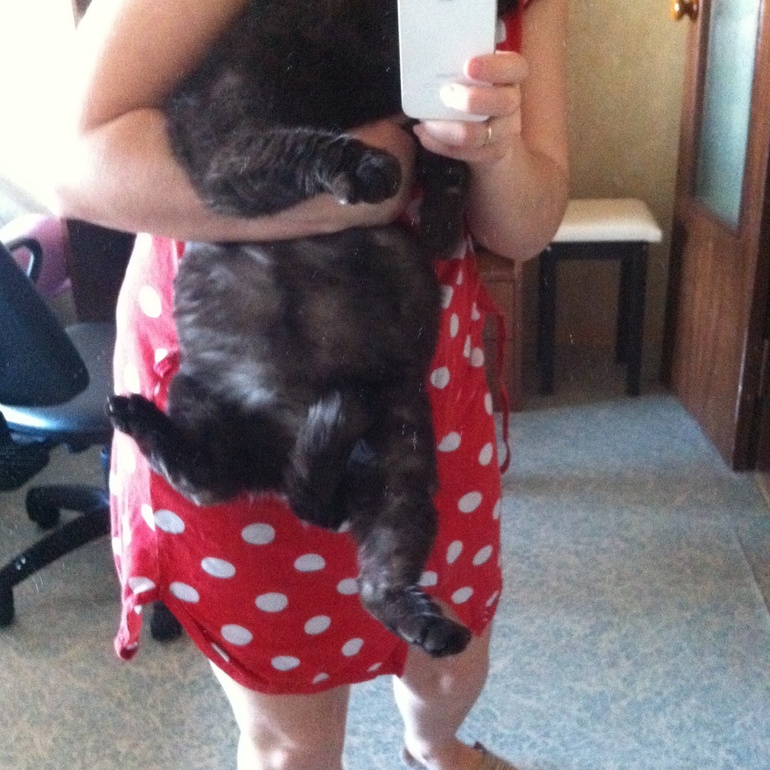 А мы тааакие беременные...))