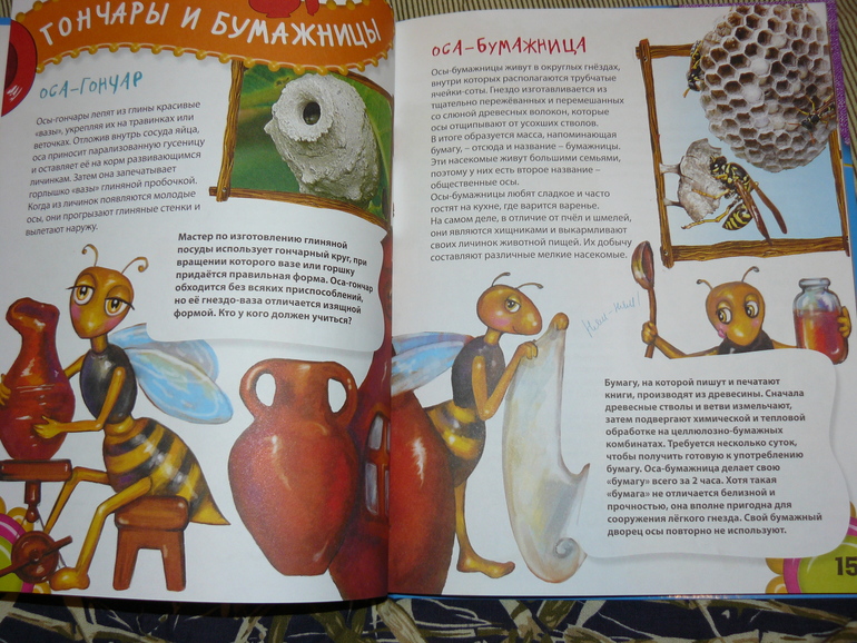 Профессии животных