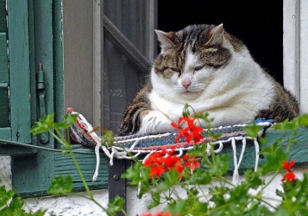 Позитивчик:)