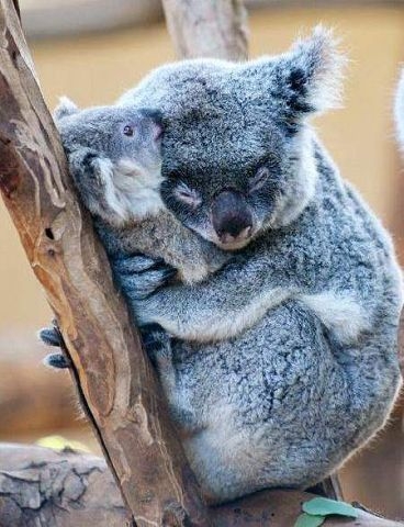 Масленица:)