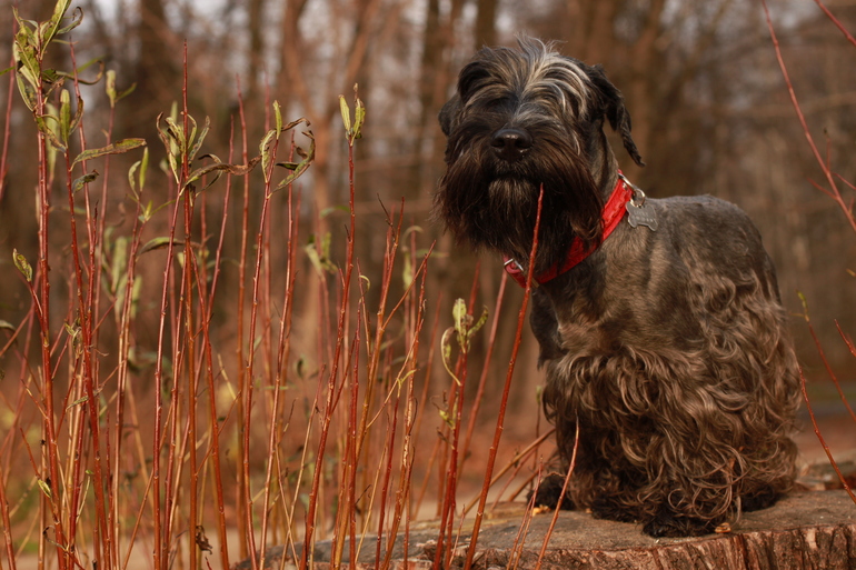 УРА!!!! Закончила курс фотошколы