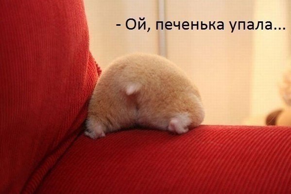 c3e5419fd72f67cdf2ad9aa16dde84d3.jpg