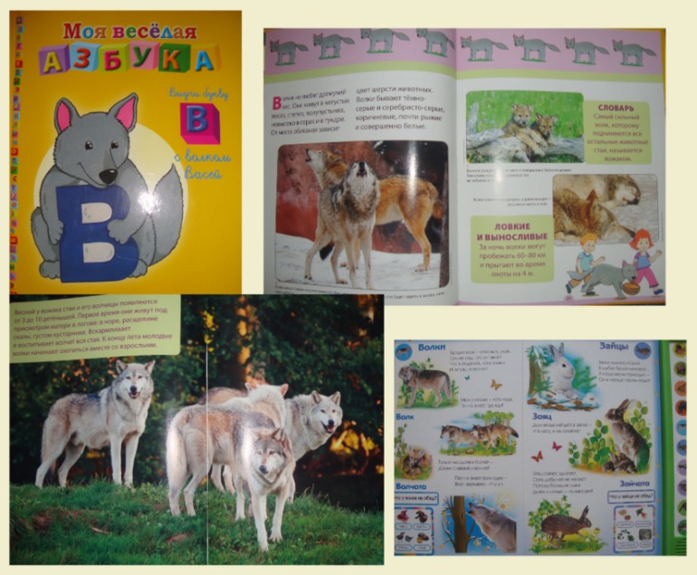 ТН "В осенним лесу"