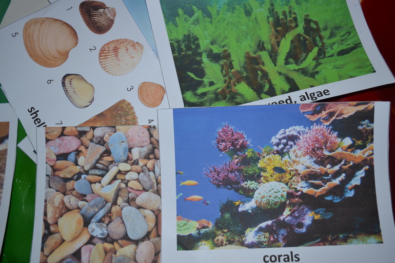 Тематическая неделя Море. День 1.