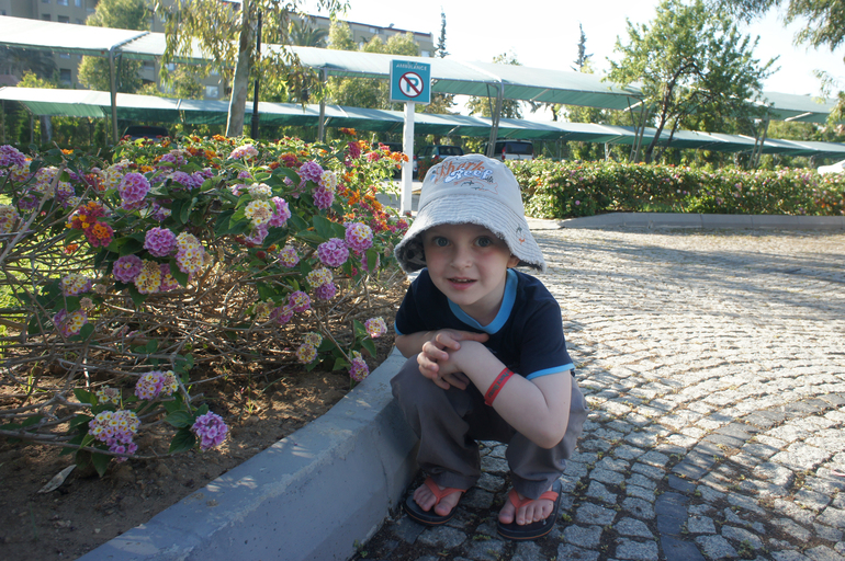 Club Hotel Turan Prince World 5* в мае