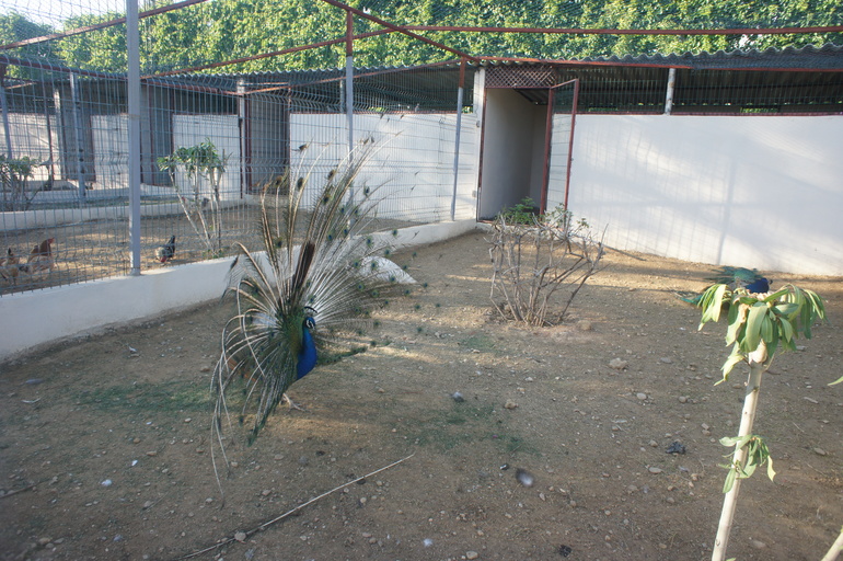 Club Hotel Turan Prince World 5* в мае