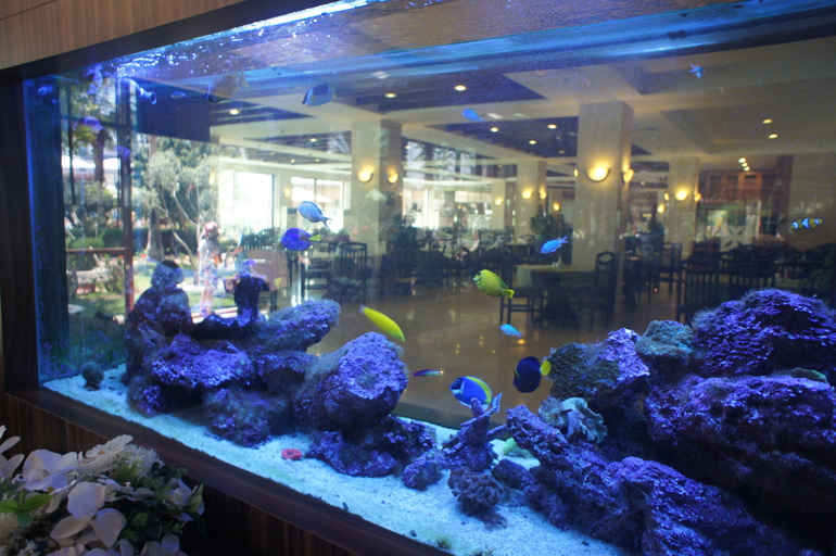 Club Hotel Turan Prince World 5* в мае