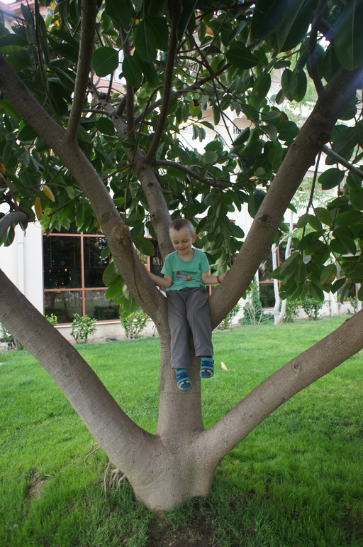 Club Hotel Turan Prince World 5* в мае