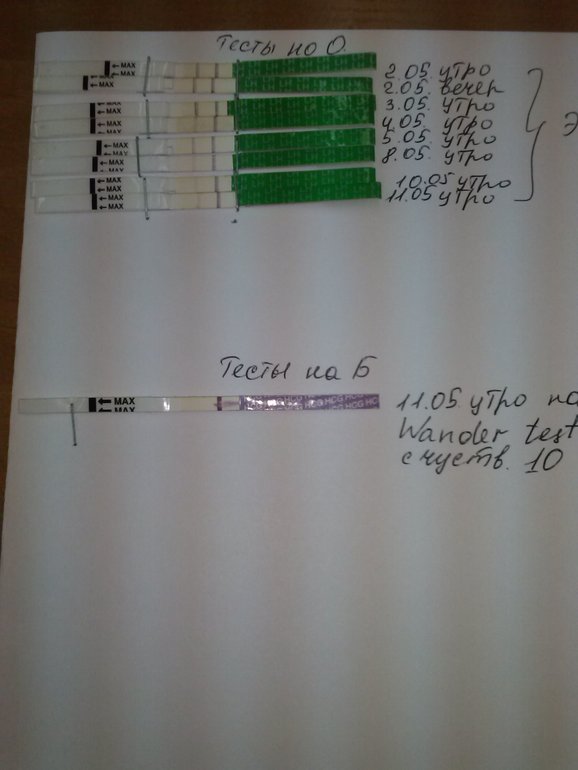 ТестоманиЯ!!! и как дальше жить???))))