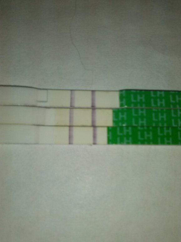 посмотрие график пожайлуста