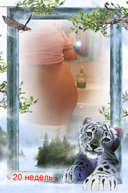 22.4 недели + фото