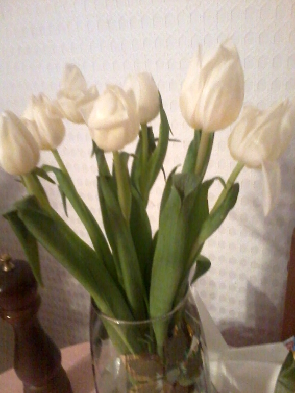 Первые цветы