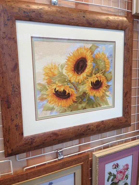 Наш семейный поход на ФР