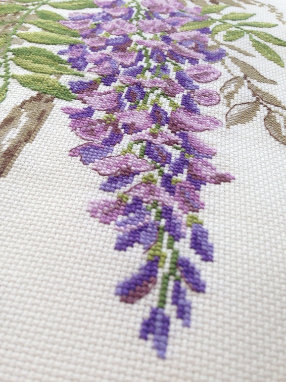 Глициния DFEA