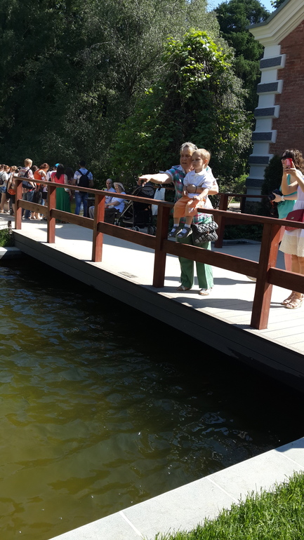 Прогулка с Аптекарский огород